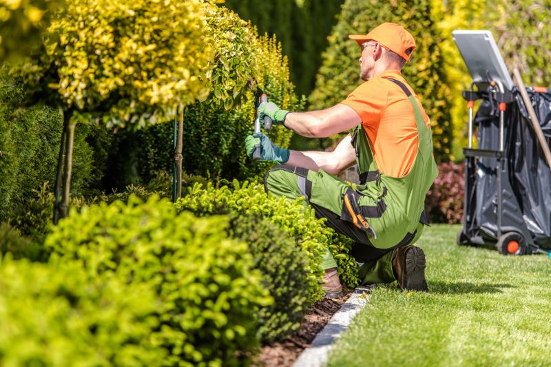 Experienced Landscapers